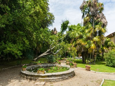 Farmhouse Italienischer Aufenthalt: Bacchereto Weinland - Outdoor photo 16