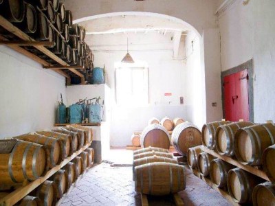 Farmhouse Italienischer Aufenthalt: Bacchereto Weinland - Outdoor photo 34