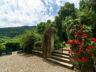 Farmhouse Farmhouse in Tuscany near Renaissance Villa - Outdoor photo 8
