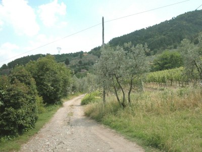 Farmhouse Farmhouse in Tuscany near Renaissance Villa - Environment photo 31