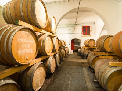 Farmhouse Farmhouse in Tuscany near Renaissance Villa - Outdoor photo 37