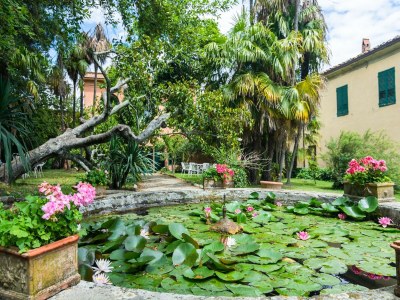Farmhouse Farmhouse in Tuscany near Renaissance Villa - Outdoor photo 40