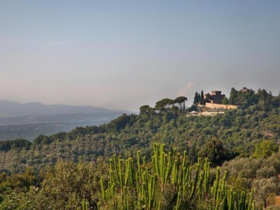 Holiday house Holiday Home in Castagneto near the Beach - Environment photo 14
