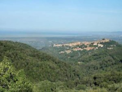 Holiday house Holiday Home in Castagneto near the Beach - Environment photo 24