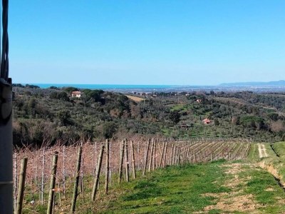 Holiday house Holiday Home in Castagneto near the Beach - Environment photo 29