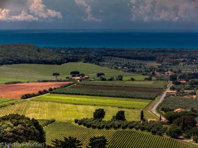 Holiday house Holiday Home in Castagneto near the Beach - Environment photo 33