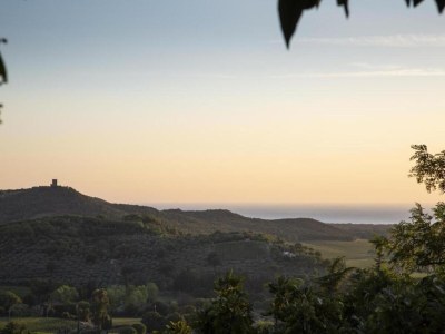 Holiday house Holiday Home in Castagneto near the Beach - Environment photo 35