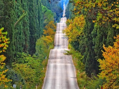 Holiday house Holiday Home in Castagneto near the Beach - Environment photo 36