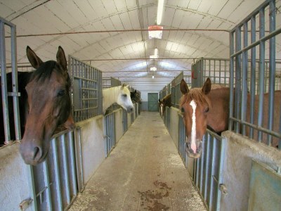 Farmhouse Urban farmhouse in Umbria with pool - Outdoor photo 36