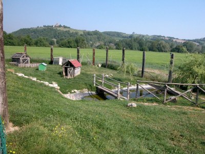 Holiday house Cottage in Todi with Pool and Terrace - Outdoor photo 33
