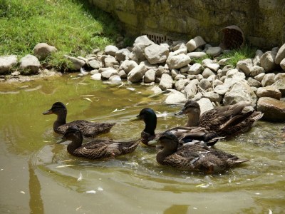Holiday house Cottage in Todi with Pool and Terrace - Outdoor photo 34
