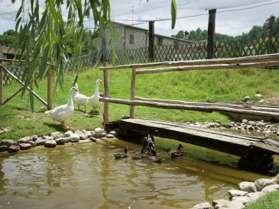 Holiday house Cottage in Todi with Pool and Terrace - Outdoor photo 35