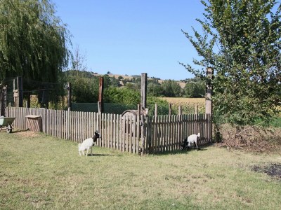 Holiday house Hütte in Todi mit Pool und Sauna - Outdoor photo 33