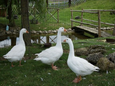 Apartment Apartment in Todi with Pool & History - Outdoor photo 27