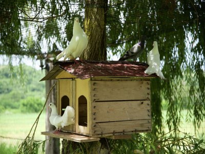 Apartment Apartment in Todi with Pool and Garden - Outdoor photo 32