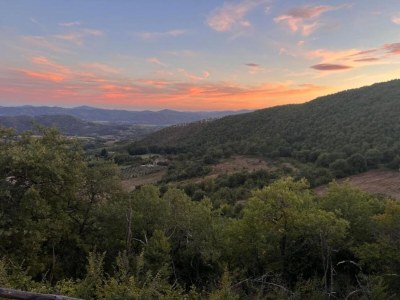 Farmhouse Haustierfreundliches Bauernhaus - Environment photo 26