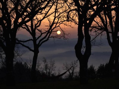 Farmhouse Haustierfreundliches Bauernhaus - Environment photo 27