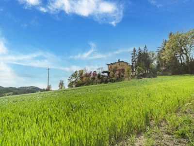 Farmhouse Haustierfreundliches Bauernhaus - Environment photo 34