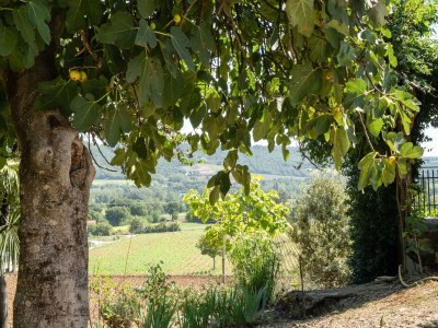 Farmhouse Bauernhaus in Città di Castello mit Pool - Outdoor photo 20