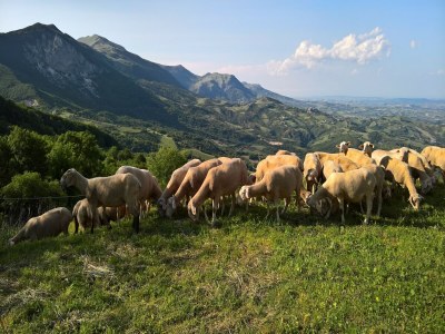 Holiday house Spotlight home of Corvara - Outdoor photo 7