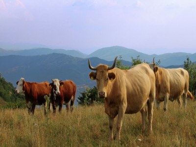 Holiday house Spotlight home of Corvara - Environment photo 39