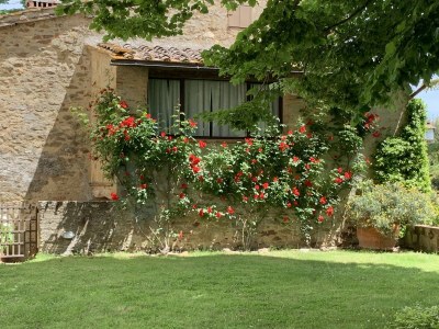 Holiday house Haus in der Toskana nahe Castello Montozzi - Outdoor photo 10