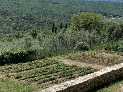 Holiday house Haus in der Toskana nahe Castello Montozzi - Environment photo 28