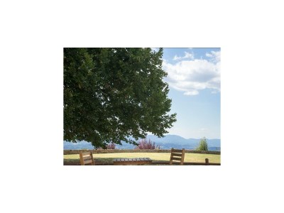 Holiday house Haus in der Toskana nahe Castello Montozzi - Environment photo 29
