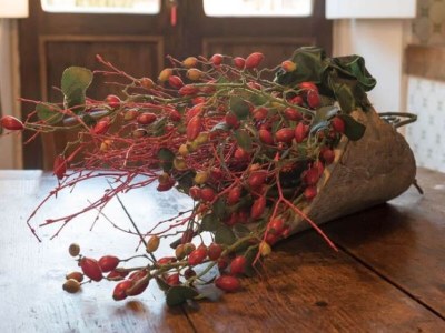 Holiday house Ferienhaus in Pergine Valdarno mit Pool - Outdoor photo 29