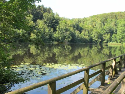 Holiday apartment Fasse - Environment photo 30