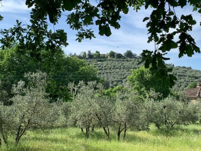 Holiday house Wohnung in der Toskana mit Hügelblick - Environment photo 14