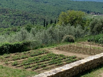 Holiday house Wohnung in der Toskana mit Hügelblick - Environment photo 15