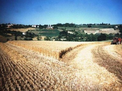 Apartment San Marino Poolside Stay - Environment photo 20