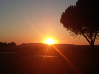 Apartment San Marino Poolside Stay - Environment photo 25