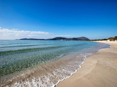 Apartment San Marino Poolside Stay - Environment photo 26