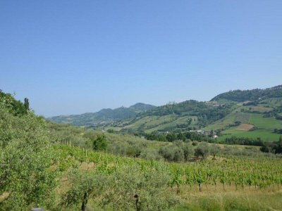 Apartment San Marino Poolside Stay - Environment photo 27