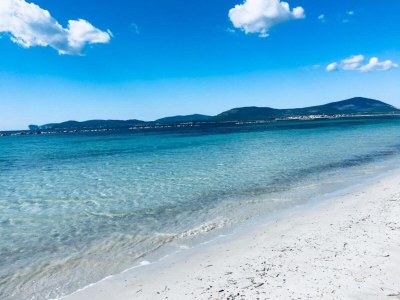 Apartment San Marino Poolside Stay - Environment photo 33