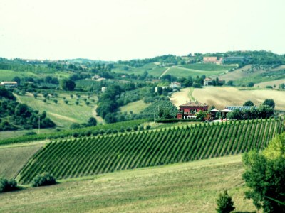 Apartment San Marino Poolside Stay - Environment photo 37