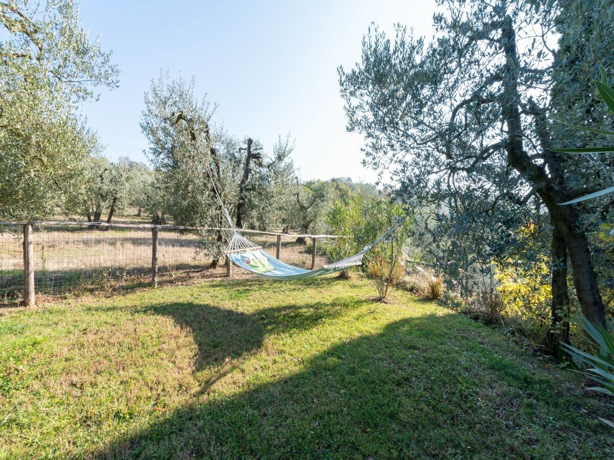 Holiday house Blissful Tuscan Hideaway - Outdoor photo 4