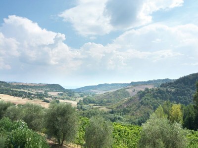 Villa Villa in Rome with Pool & Garden - Environment photo 38