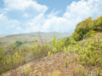 Villa Villa in Rom mit Pool und schöner Aussicht - Outdoor photo 4