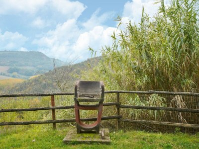 Holiday house Villa in Rome with Pool & Stunning Views - Outdoor photo 10
