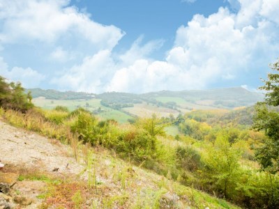 Holiday house Villa in Rome with Pool & Stunning Views - Environment photo 27