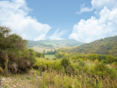 Holiday house Villa in Rome with Pool & Stunning Views - Environment photo 28