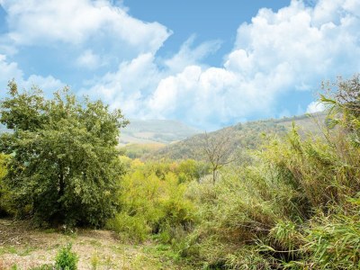 Holiday house Villa in Rome with Pool & Stunning Views - Environment photo 29