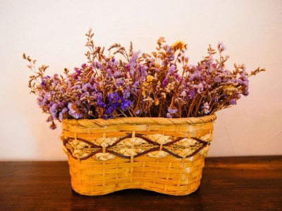 Holiday house Villa in Rome with Pool & Stunning Views - Outdoor photo 30