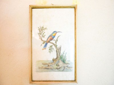 Holiday house Villa in Rome with Pool & Stunning Views - Outdoor photo 33