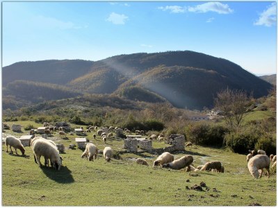 Holiday house Romantisches Refugium in Latium - Environment photo 33