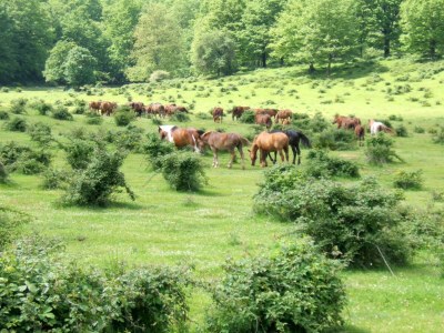 Holiday house Romantisches Refugium in Latium - Environment photo 36