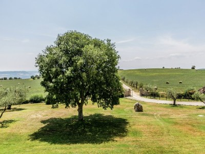 Farmhouse Bauernhaus in Montoro nahe Schloss - Outdoor photo 19